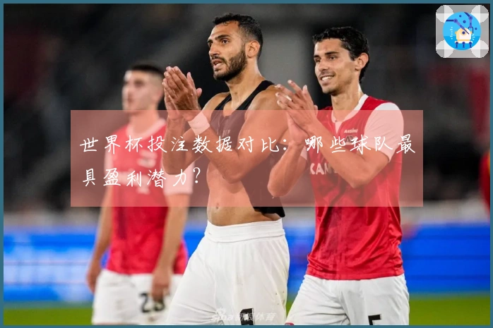 世界杯投注数据对比：哪些球队最具盈利潜力？