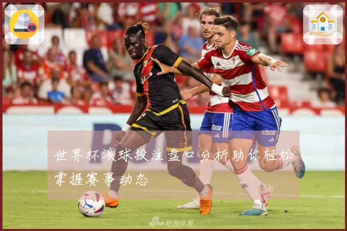 世界杯滚球投注盘口分析助你轻松掌握赛事动态