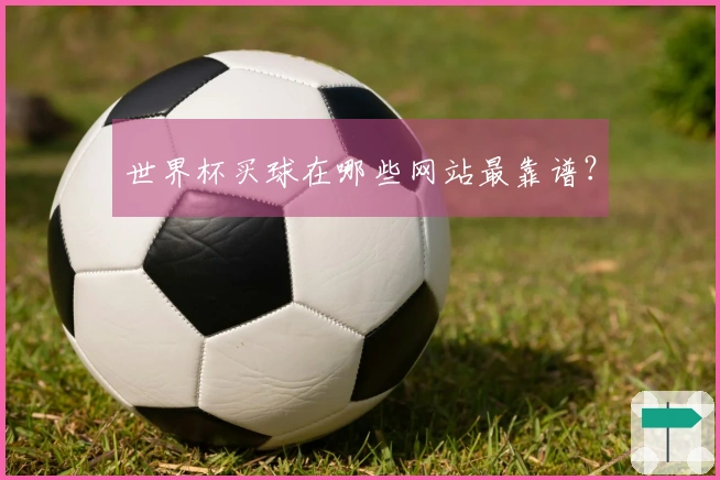 世界杯买球在哪些网站最靠谱？